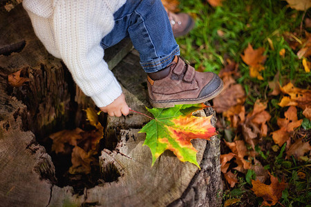 一个小男孩在秋天走过森林时坐在木桩上活跃的家庭时间是自然的与幼儿图片
