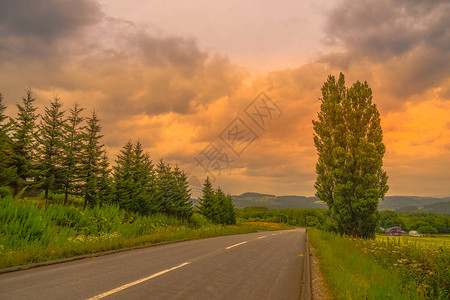 树木和夕阳Bieicho北海道图片