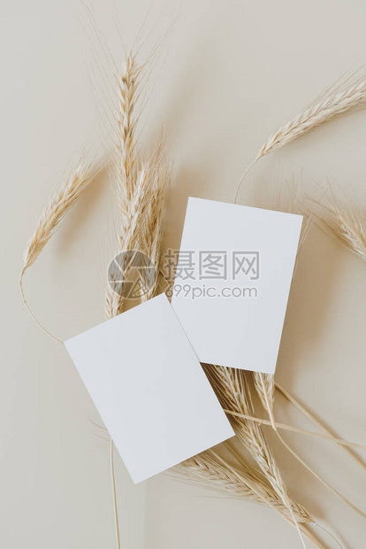 带模型复制空间的空白纸页卡片和黑麦蜜蜂背景的小麦尾巴最小商业品牌模板平图片