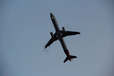 航空公司Tam的飞机空中客车空中客车A321231在萨尔瓦多市机场图片