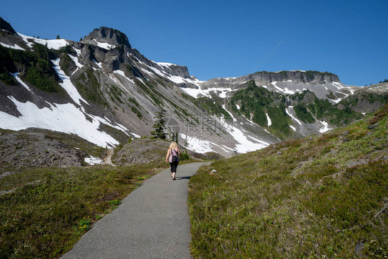 妇女徒步旅行者在华盛顿州贝克山HeatherMeadow图片