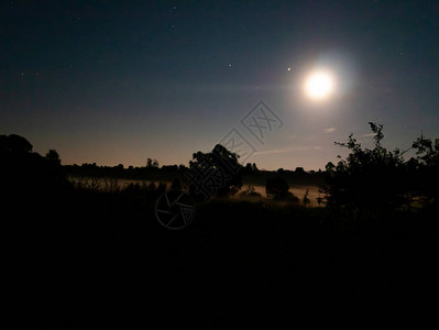 天边与月亮在繁星点的夜空满天星斗的宇宙天空与月亮夜间自然景观树的黑色阴影匍匐的雾气全背景图片