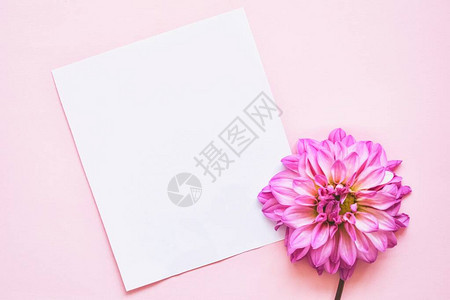 假邀请函空白纸贺卡白信封和粉色折叠板顶视图片