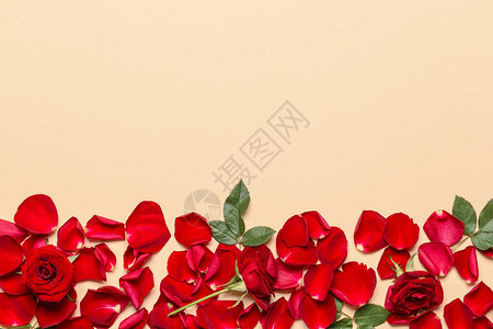 在彩色背景上有美丽的玫瑰花瓣的组合物图片