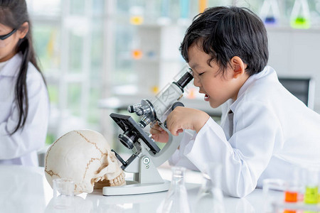 小男孩用显微镜分析头骨模型图片