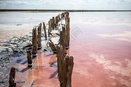 来自盐矿工业的木框架粉红色的咸水湖图片