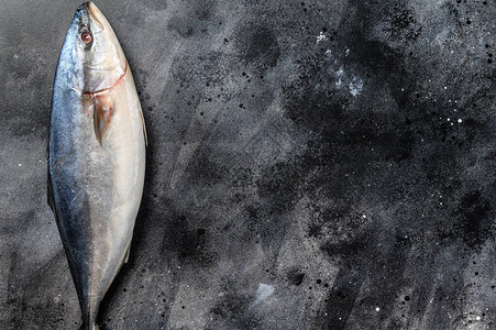 原始日本黄尾鱼新鲜鱼的戒律黑色背景顶级视图片