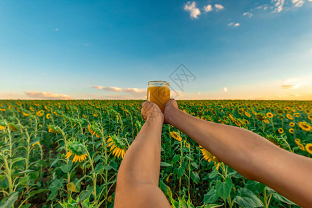 男人的手握着一罐蜂蜜在有向日葵和夜空的田地背景中图片