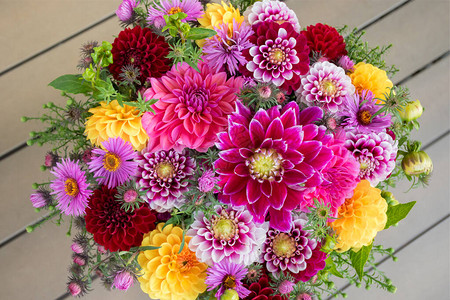 优雅的秋季花束或大丽花新英格兰紫苑红色紫色和黄色调或暖色调的花朵组合带有周年纪念生日或图片