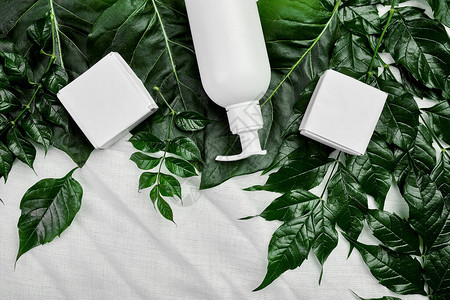 在绿色热带叶SPA概念天然有机化妆品包装塑料奶油管顶部视图平板固定成分广告或标语模板上添加图片