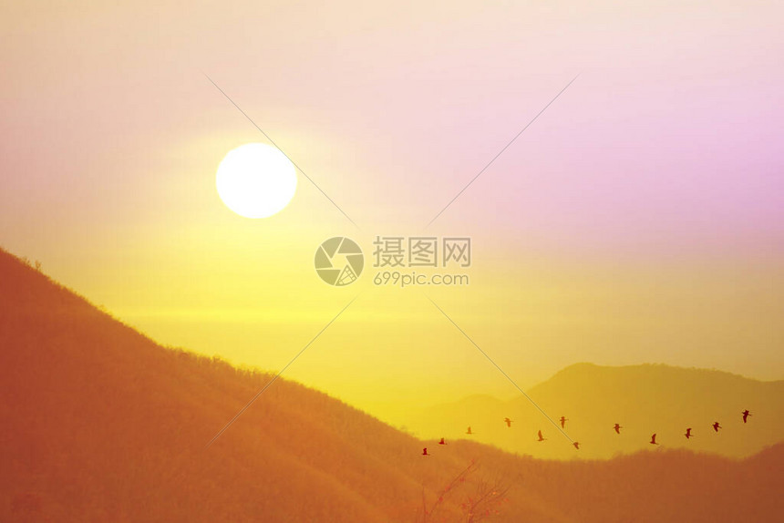 Interact With Sunbird Or Moon Hawk And Rustler 黄平俊山顶的日落和夜空飞翔的双光鸟在泰国洛普布里Lo高清图片下载-正版图片506719732-摄图网