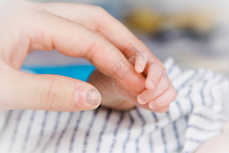 新生婴儿的小手图片