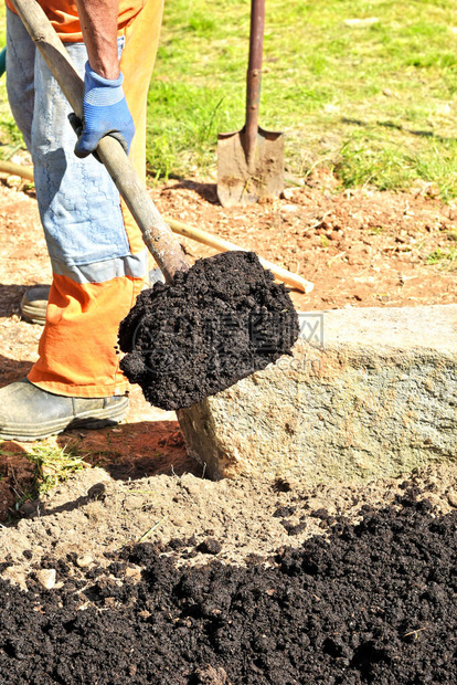 农夫在私家花园里用铁锹挖土图片