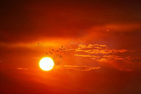 夕阳西下黄天橙红云剪影鸟飞回家图片