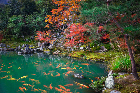 秋天的风景背日本图片