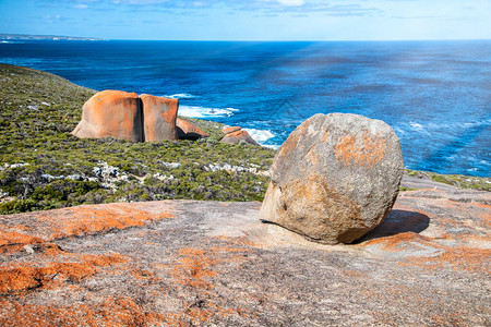 Kangaroo岛Flinders公图片