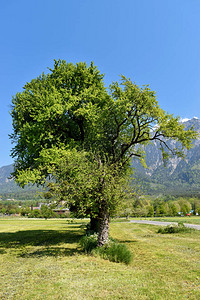 列支敦士登NaturlandchaftvolleWundvolleNaturland图片