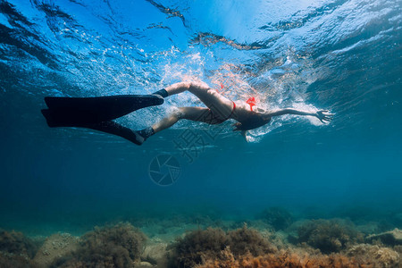 蓝海和太阳光线中比基尼滑翔的白金色自由潜水的瘦女人背景图片