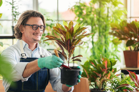 男人在家照顾她料理的植物种植园艺图片