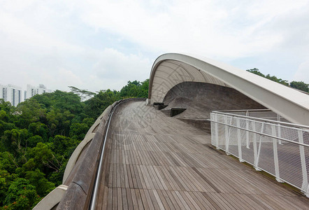 HendersonWave桥新加坡图片