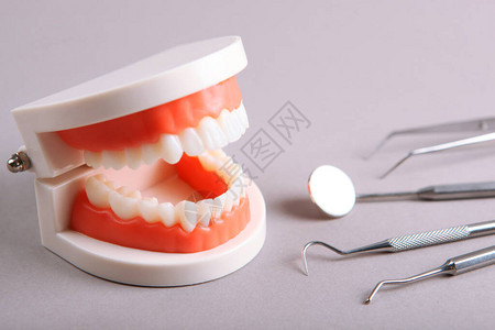 假牙科仪器和有色背景牙科护理产品模型图片