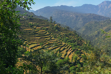 印度乌塔兰查尔Garhwal喜马拉雅山高背景图片