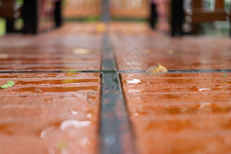 雨水来袭后在户外田地用落叶图片