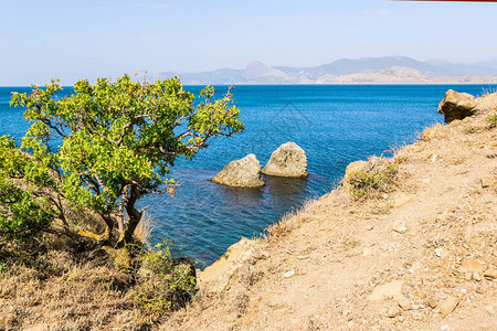 苏达克湾背景下的绿树和克里米亚黑海图片