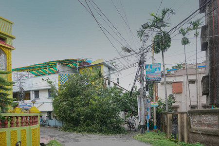 超级气旋Amphan连根拔除的树倒塌和堵塞了道路图片