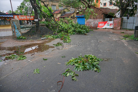 超级气旋Amphan连根拔除的树倒塌和堵塞了道路图片