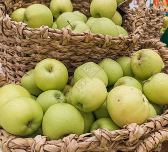 成熟的绿苹果收成就图片