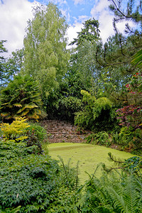 布伦海姆宫花园和林公园图片