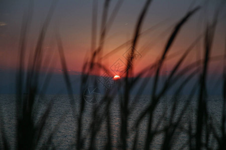 沙滩上的夕阳草海图片