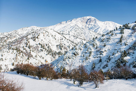 乌兹别克斯坦滑雪度假胜地Beldersay的冬季图片