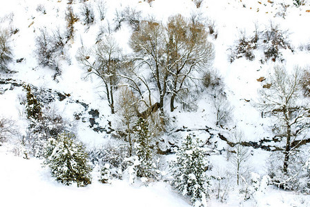 Beldersay河冬季风雪图片