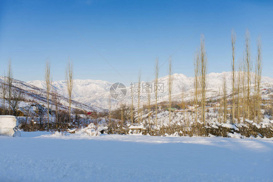 乌兹别克斯坦寒冷的雪天图片