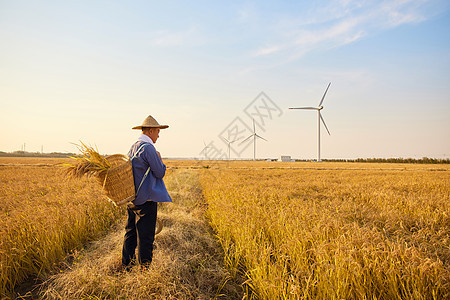 秋季农民站在稻田背影图片