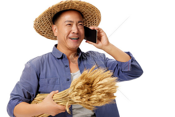 农民伯伯秋收抱着水稻打电话图片