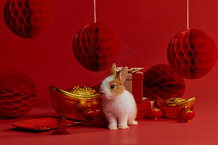 新年兔子与元宝礼盒装饰图片