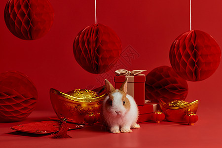 新年兔子新年装饰背景图片