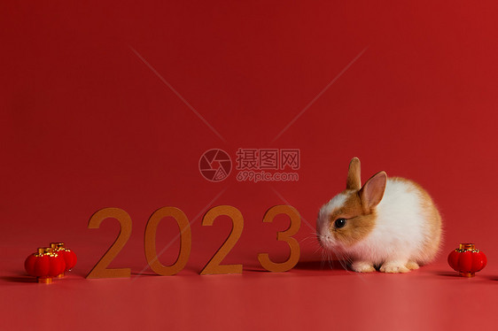 可爱兔子2023年兔年形象图片