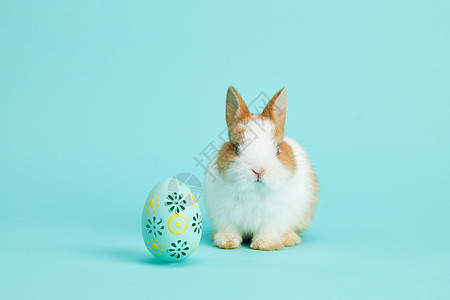 复活节彩蛋可爱小兔子背景图片