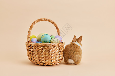 复活节彩蛋兔子形象背景图片