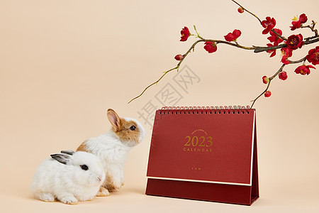 2023年兔年新年日历图片