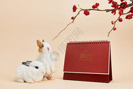 2023年新年兔年日历图片