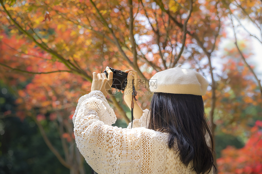 枫叶林中的美女背影图图片