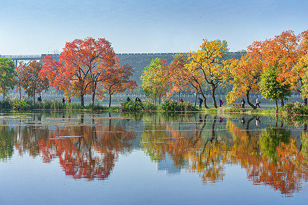 五彩金秋湖光秋色背景