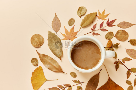 咖啡和多样的落叶图片