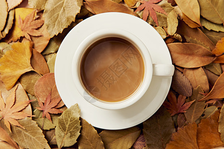 咖啡和落叶图片