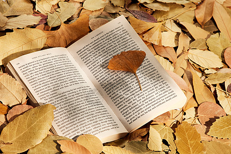 秋季落叶与书本图片
